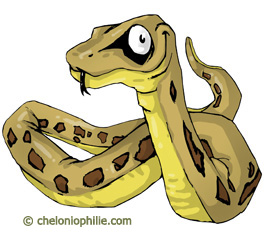 Image serpent