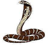 Gif serpent